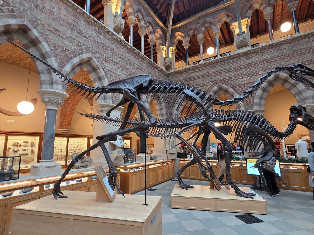 牛津大学自然历史博物馆-牛津必去景点