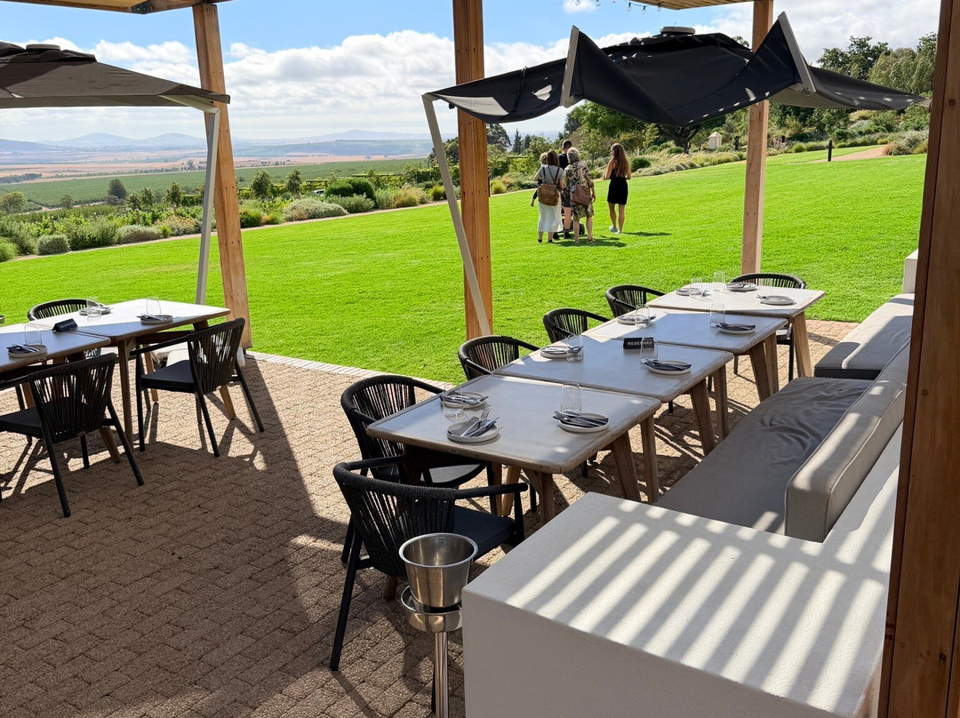 Vondeling Wines-帕尔必去景点