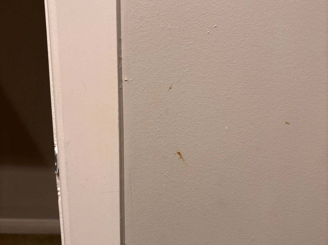 Parkmore Hotel & Leisure Club, Sure Hotel Collection by BW主图