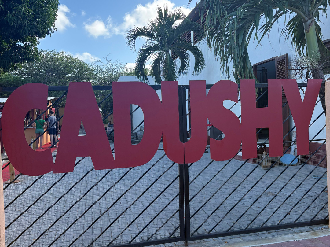 The Cadushy Distillery-Rincon必去景点