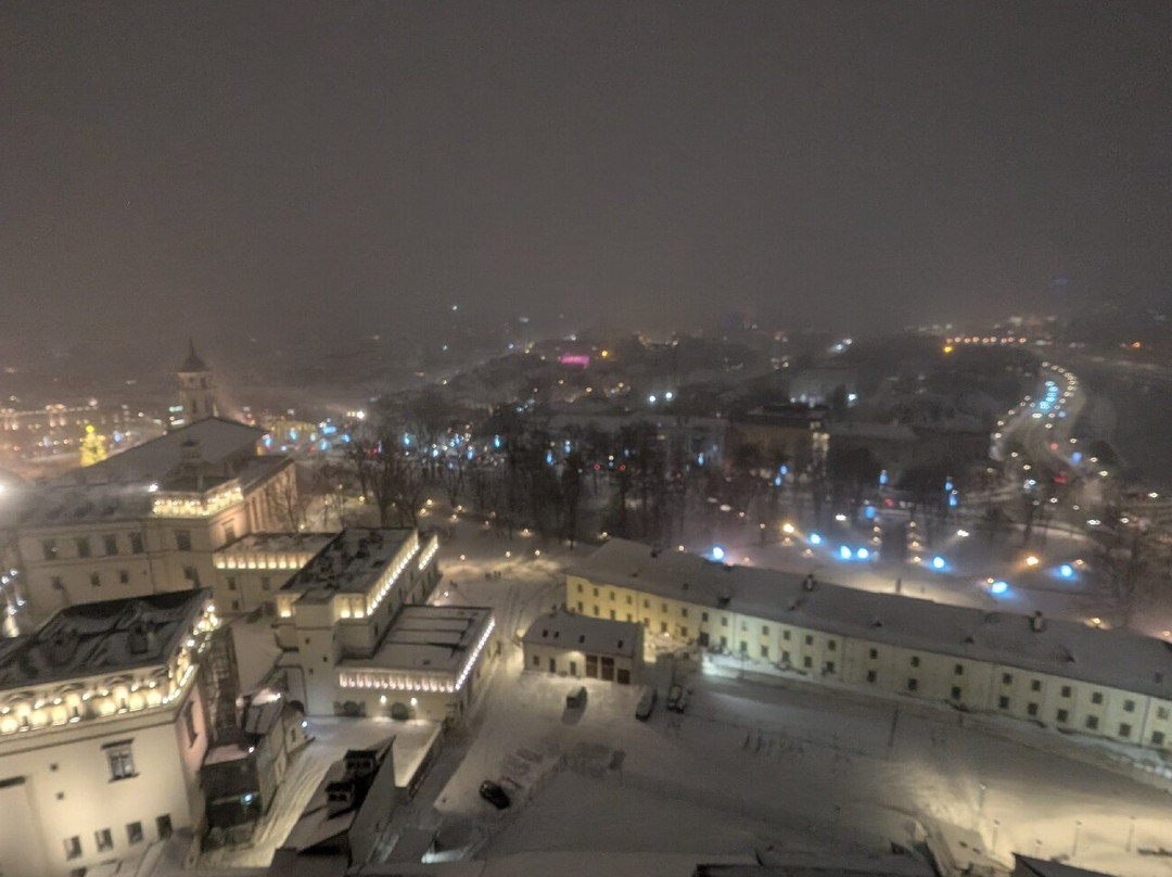 Gediminas Castle Tower-维尔纽斯必去景点