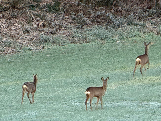 Le Domaine de la Prévostais主图