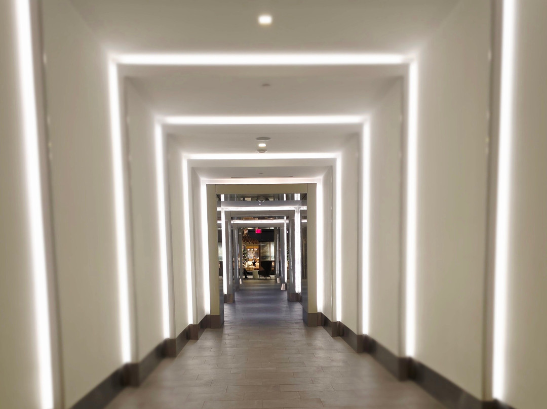 Tysons Galleria Shopping Center-麦克莱恩必去景点