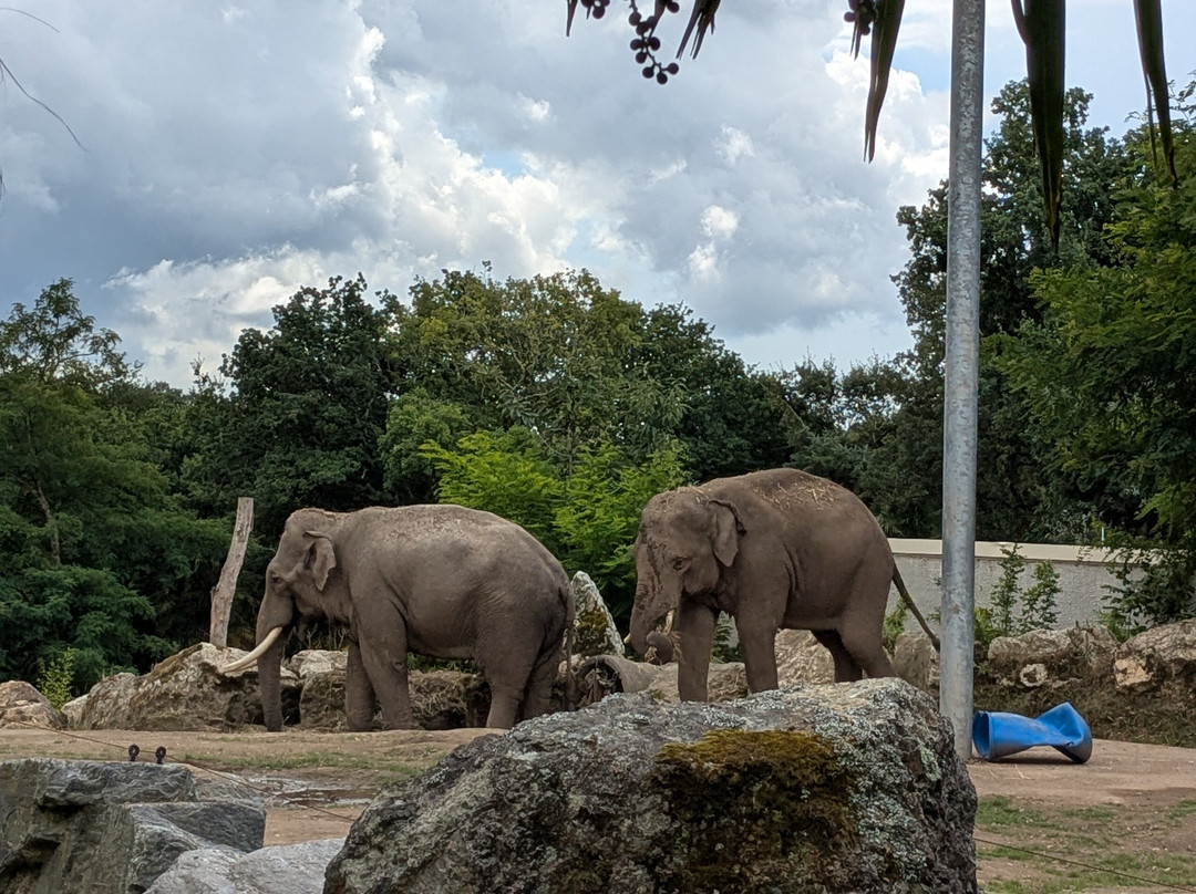 Les Terres De Nataé-Pont-Scorff必去景点