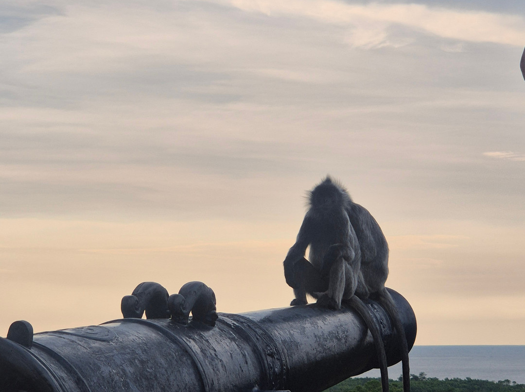 Gowithanthony-万挠必去景点