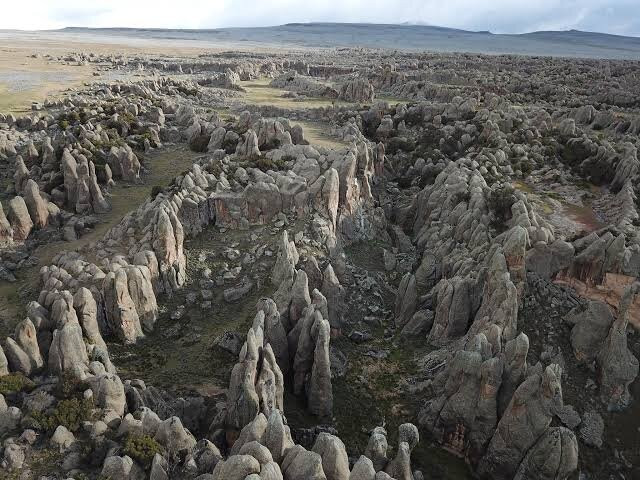 Bale Mountains National Park-亚的斯亚贝巴必去景点