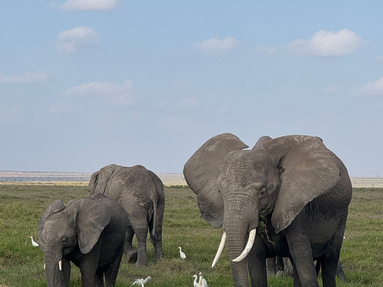 Juma Safari Kenya-瓦塔木必去景点