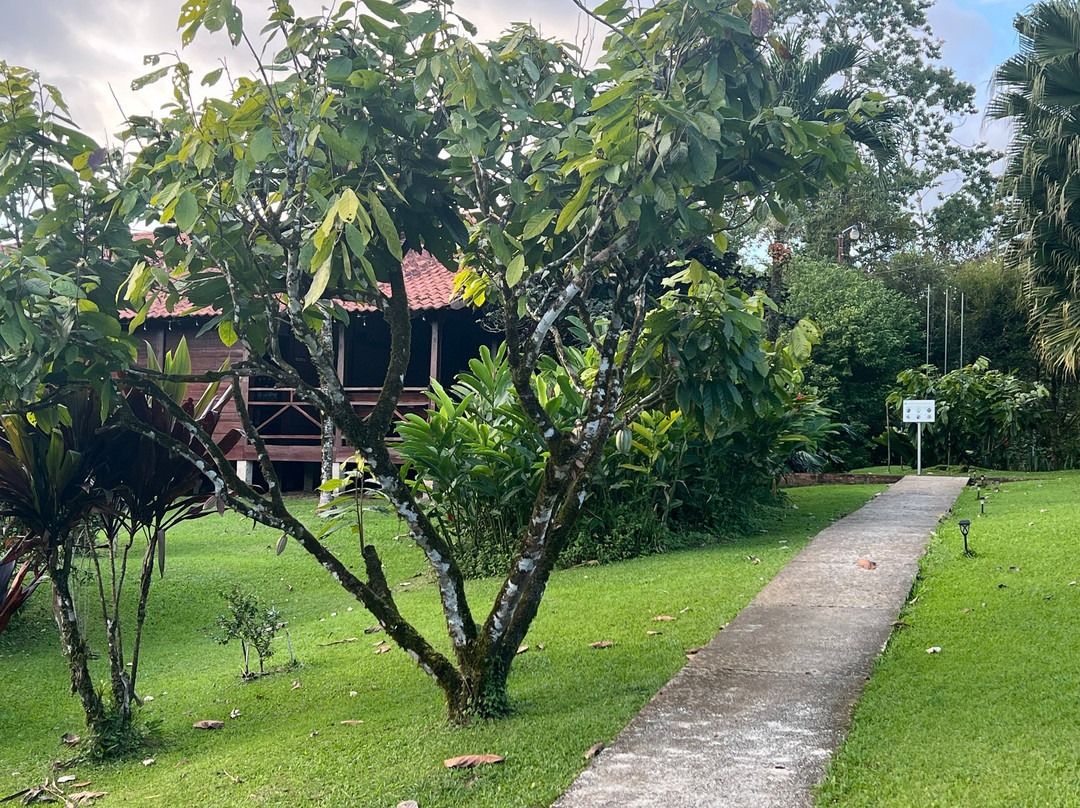La Anita Rainforest Chocolate Tour-瓜纳卡斯特自然保护区必去景点