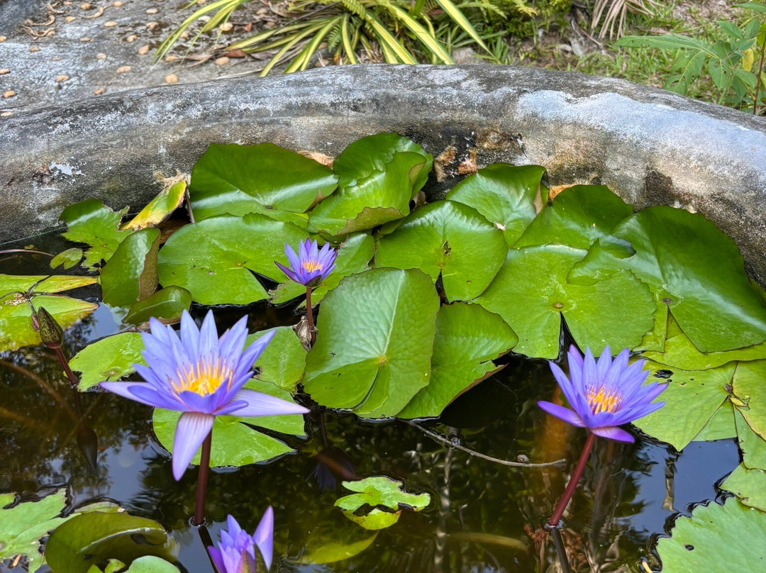 Wareerak Hot Spring & Wellness主图