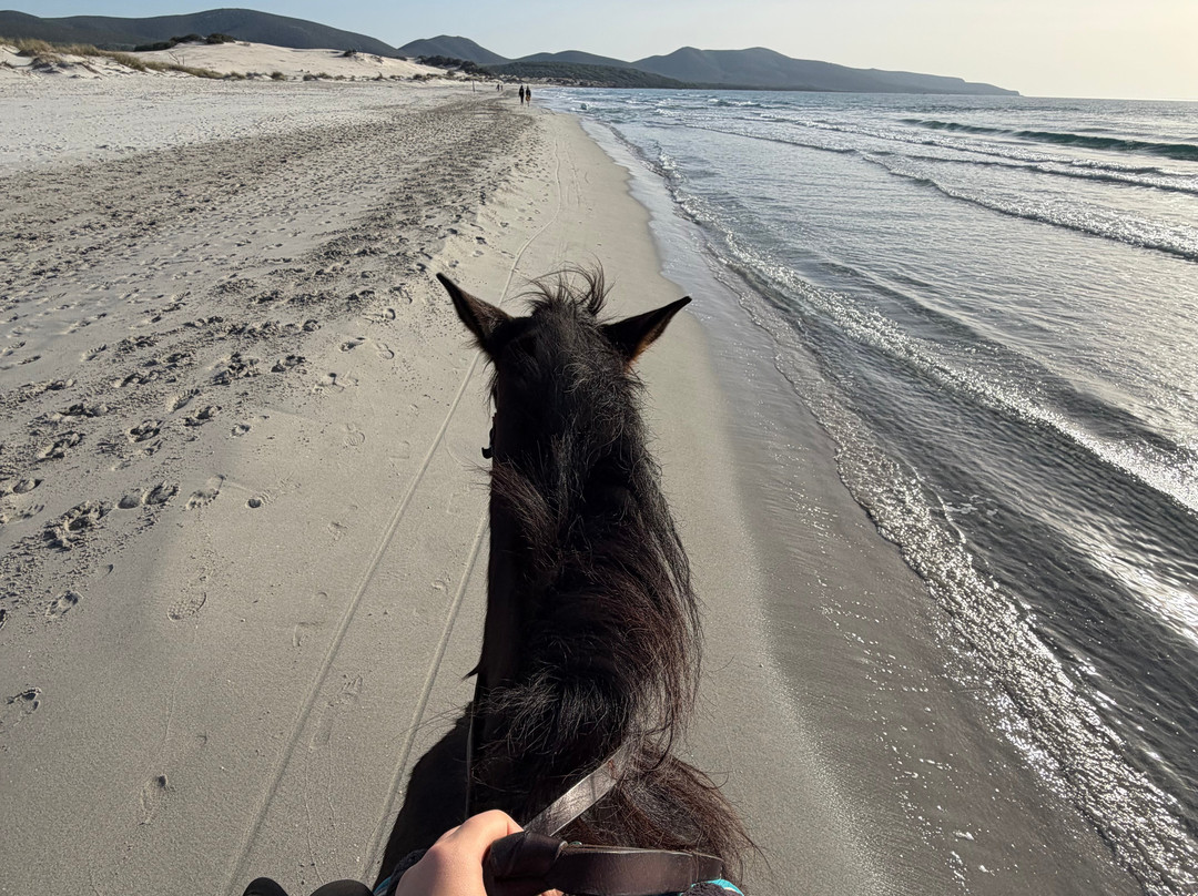 Centro Ippico Meurreddus a Cuaddu-San Giovanni Suergiu必去景点
