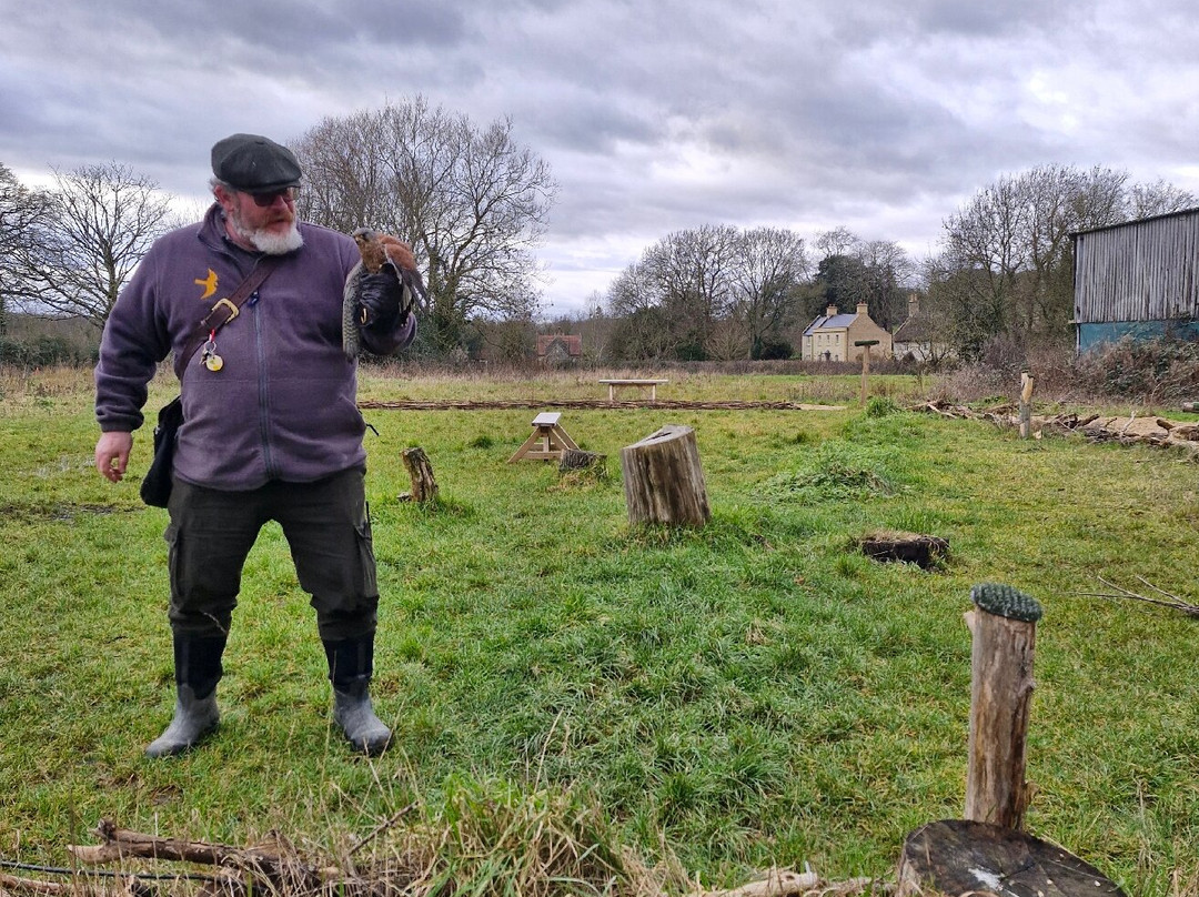 The Bird Of Prey Project-巴斯必去景点