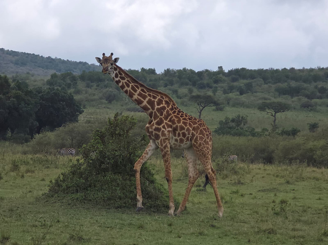 Max Discovery Kenya-瓦塔木必去景点