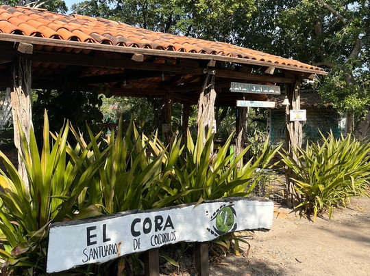 Santuario de Cocodrilos El Cora-Bucerias必去景点