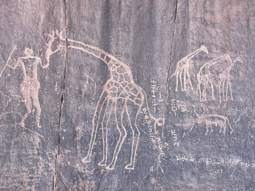 Sahara Africa Tours-Djanet必去景点