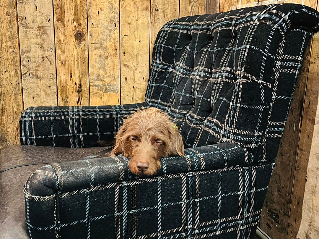 The Seaburn Inn - The Inn Collection Group主图