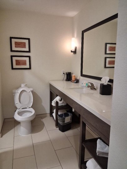 Comfort Inn & Suites-浴室