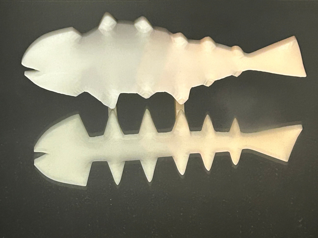 Museum of Senses Bucharest-布加勒斯特必去景点