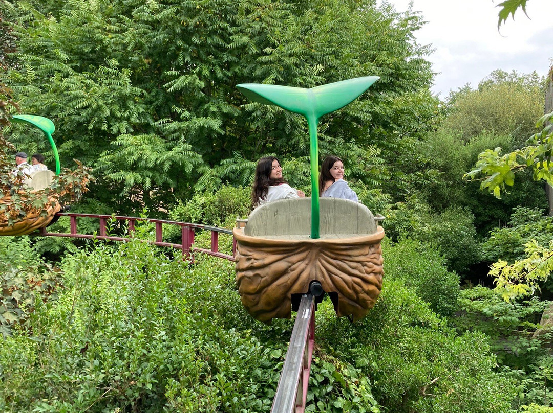 昂热植物园-昂热必去景点