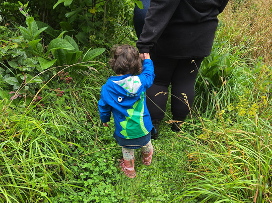 Tinui Food Forest-Castlepoint必去景点