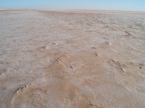 Chott El Jerid-吐泽尔必去景点