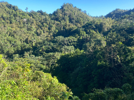 Batey Adventures-Utuado必去景点