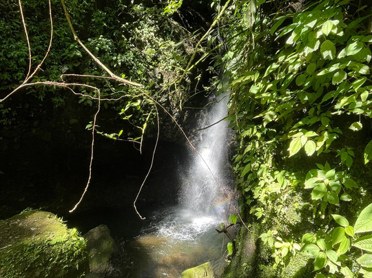 Viento Fresco Waterfall-Tilaran必去景点