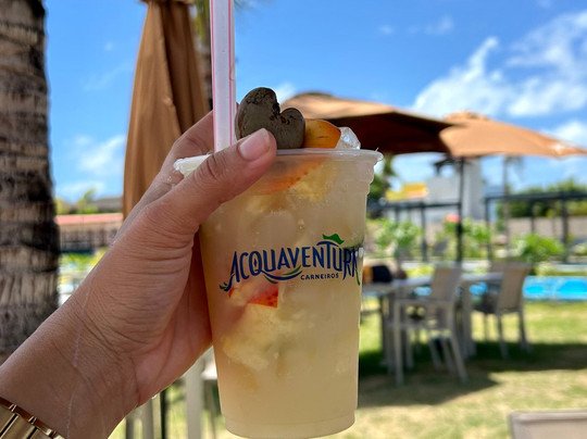 Acquaventura-Tamandare必去景点