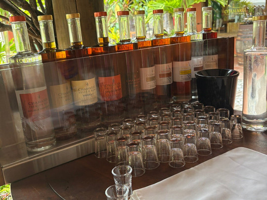 Calypso boat tours Mauritius-蓝湾必去景点