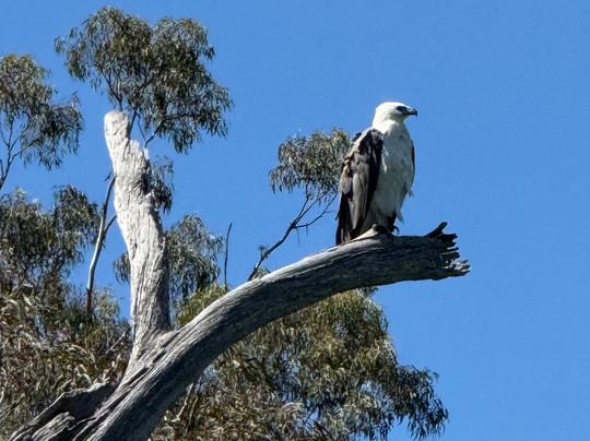 Navigate Expeditions-塔斯拉必去景点