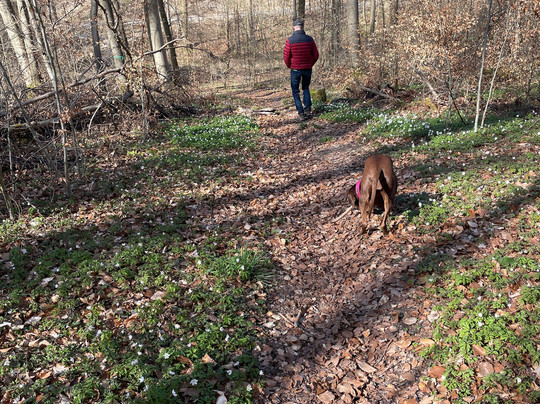 Nationalpark Hainich-Bad Langensalza必去景点