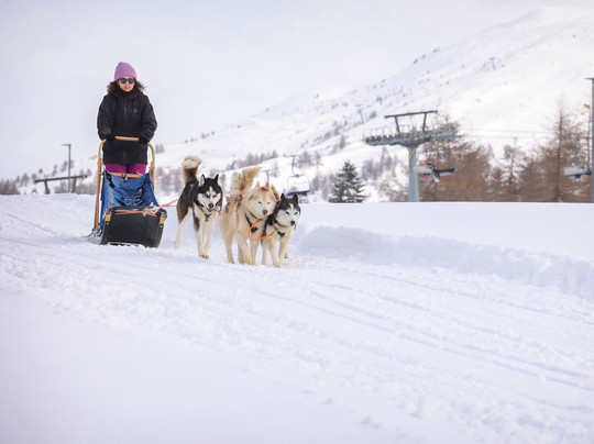 The Husky Experience Sestriere-Sestriere必去景点