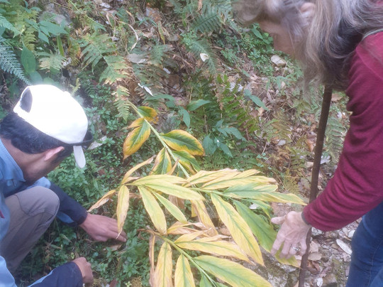 Jabarkhet Nature Reserve-马苏里必去景点