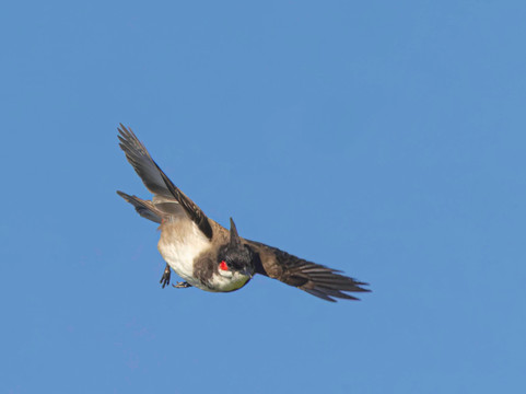 The Indian Journeys-金奈（马德拉斯）必去景点