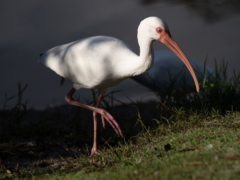 White City Park-匹尔斯堡必去景点