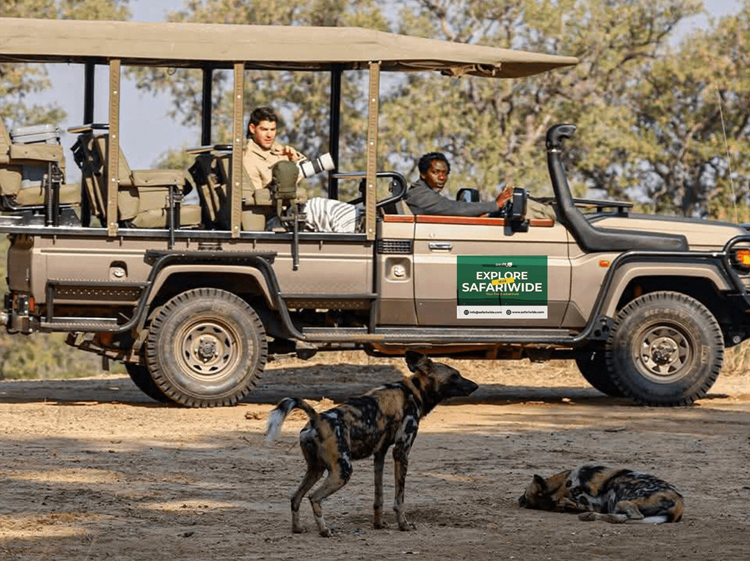 Safariwide