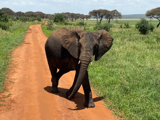 Takims Holidays-阿鲁沙必去景点