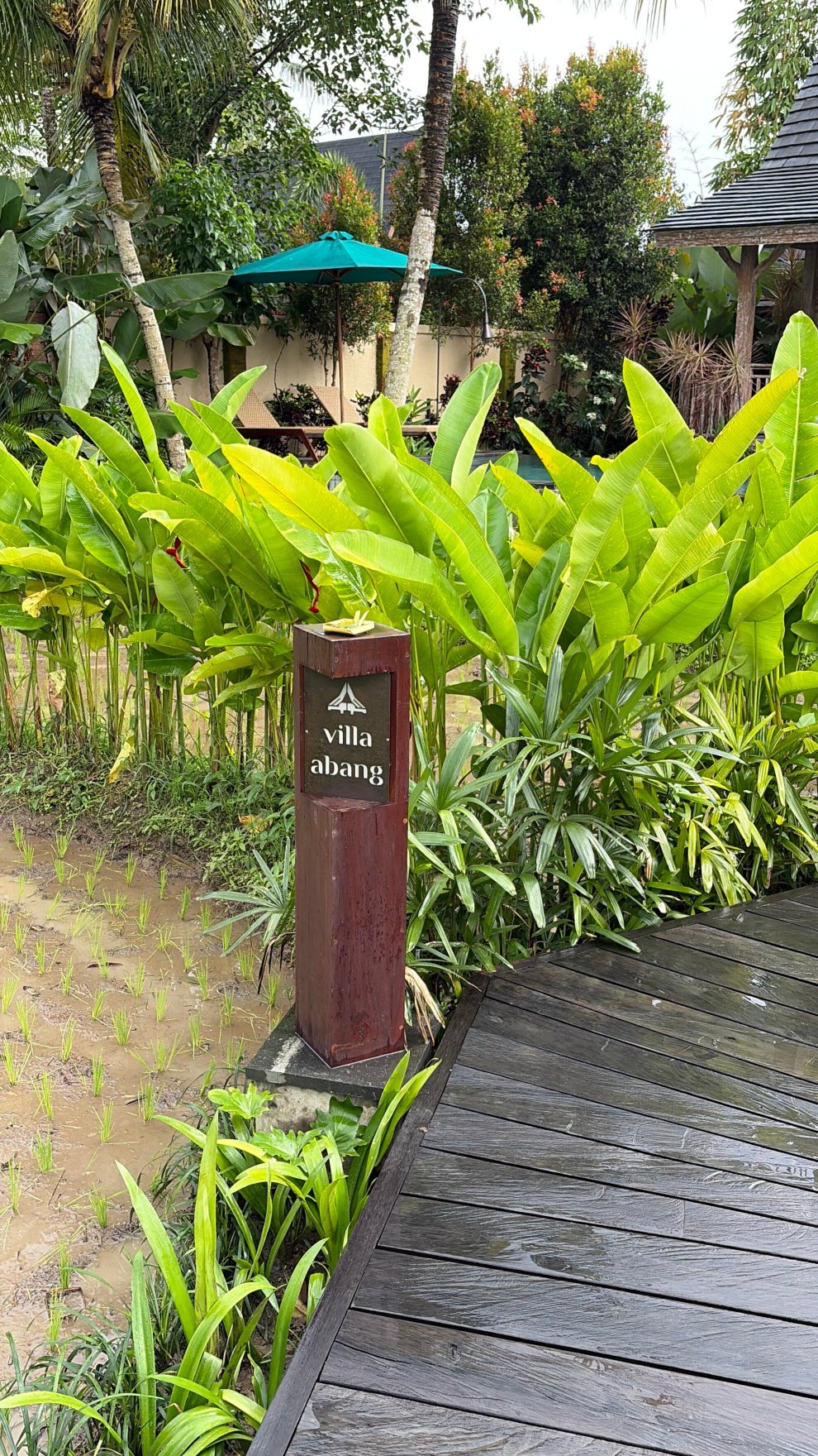 Emana Abian Taksu-官方