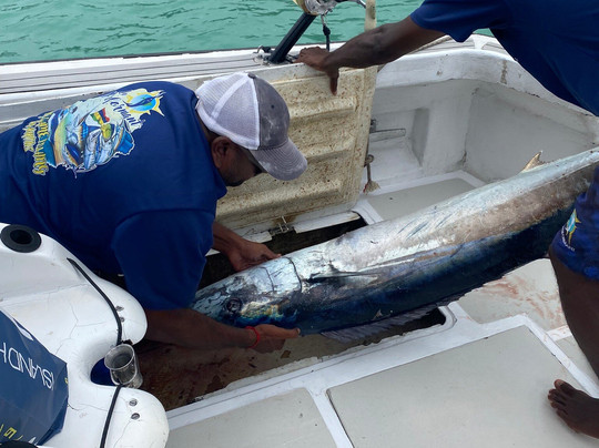 Le Performant Sport Fishing-Pereybere必去景点