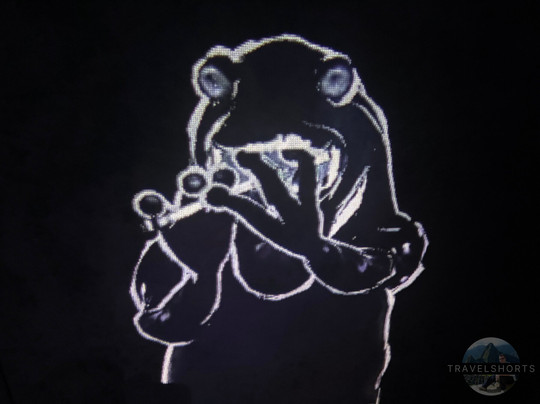 Teamlab Borderless Tokyo-港区必去景点