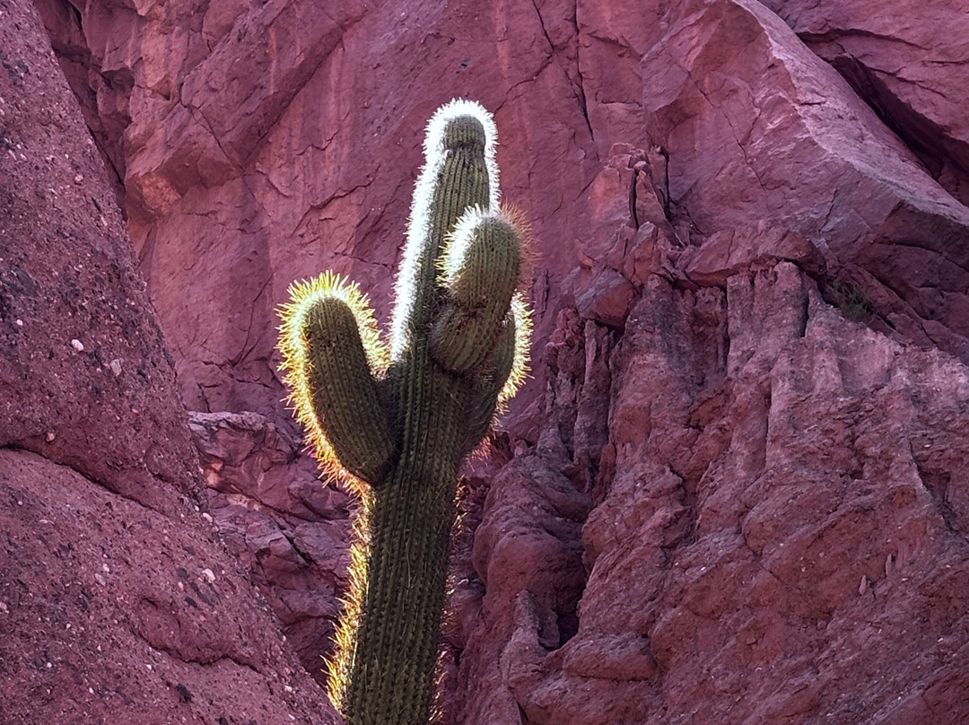 Origins Argentina Travels-萨尔塔必去景点