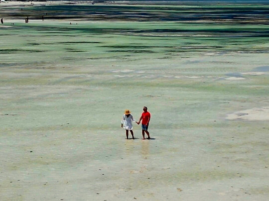 Zanzi Dream Tours-石头城必去景点