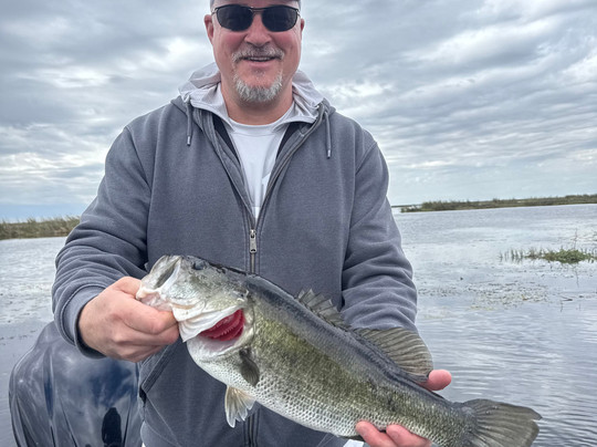 Okeechobee Bass Guide Service-奥基乔比必去景点