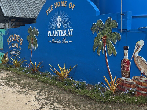 Stade's Rum Distillery-布里奇顿必去景点