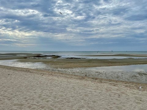 Capel Sound Foreshore-Tootgarook必去景点