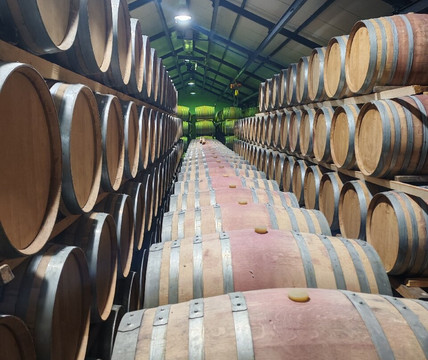 Woober Shuttles, Transfers & Tours-乔治必去景点