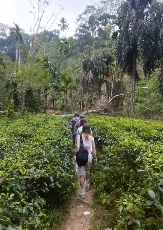 Sri Lanka Trails Travels-Kamburugamuwa必去景点