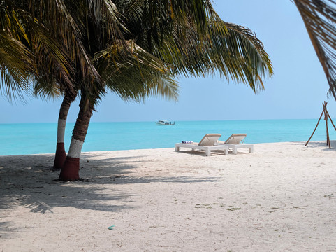 Bangaram Island Beach Resort主图