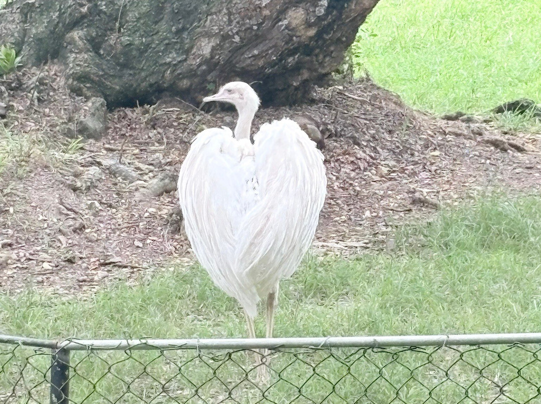 National Zoological Park-圣多明哥必去景点