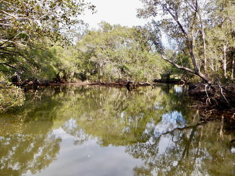 Byron Stand Up Paddle-拜伦湾必去景点