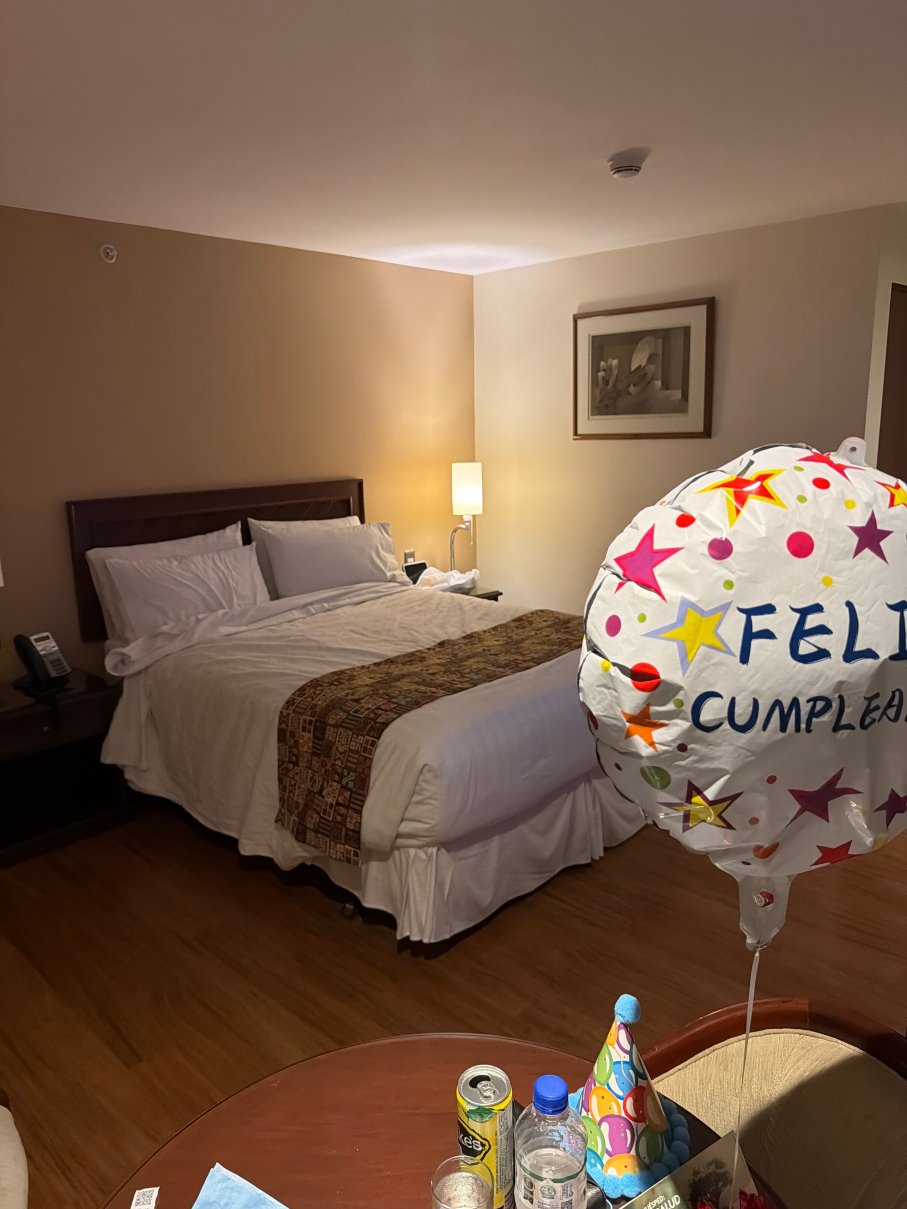 埃斯特拉酒店-官方